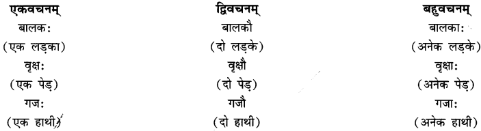 एषः कः एषा का एतत् किम् Class 6 Summary Notes Sanskrit Chapter 2 2