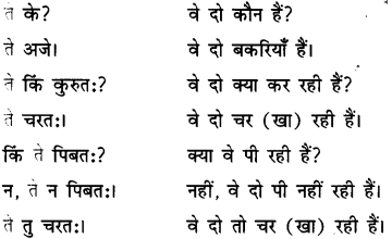 एषः कः एषा का एतत् किम् Class 6 Summary Notes Sanskrit Chapter 2 26