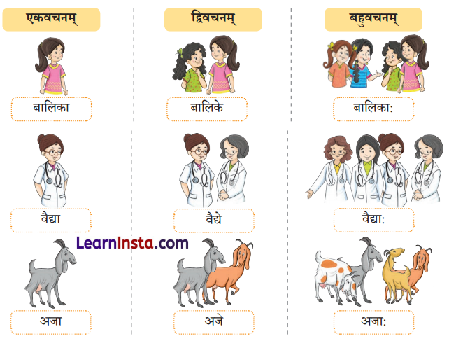 एषः कः एषा का एतत् किम् Class 6 Summary Notes Sanskrit Chapter 2 3