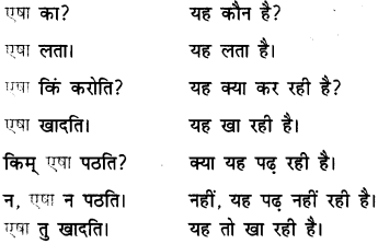 एषः कः एषा का एतत् किम् Class 6 Summary Notes Sanskrit Chapter 2 30