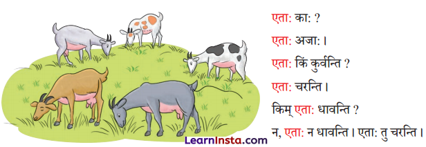 एषः कः एषा का एतत् किम् Class 6 Summary Notes Sanskrit Chapter 2 33