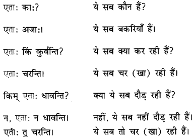 एषः कः एषा का एतत् किम् Class 6 Summary Notes Sanskrit Chapter 2 34