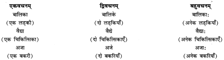 एषः कः एषा का एतत् किम् Class 6 Summary Notes Sanskrit Chapter 2 4