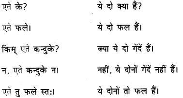 एषः कः एषा का एतत् किम् Class 6 Summary Notes Sanskrit Chapter 2 44