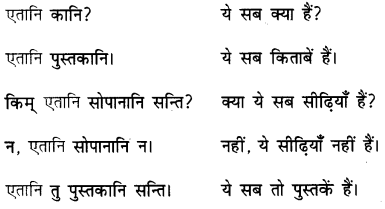 एषः कः एषा का एतत् किम् Class 6 Summary Notes Sanskrit Chapter 2 46