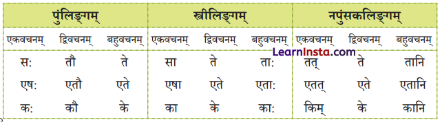 एषः कः एषा का एतत् किम् Class 6 Summary Notes Sanskrit Chapter 2 47