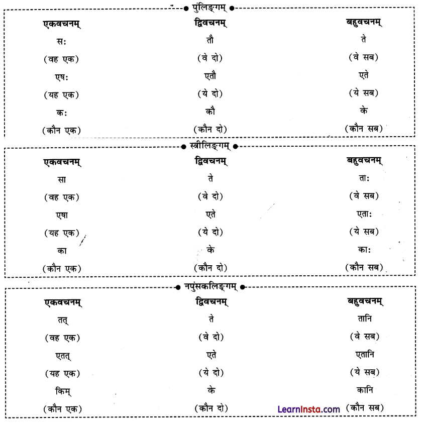 एषः कः एषा का एतत् किम् Class 6 Summary Notes Sanskrit Chapter 2 48