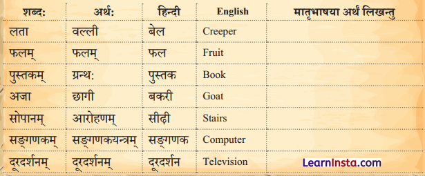 एषः कः एषा का एतत् किम् Class 6 Summary Notes Sanskrit Chapter 2 49