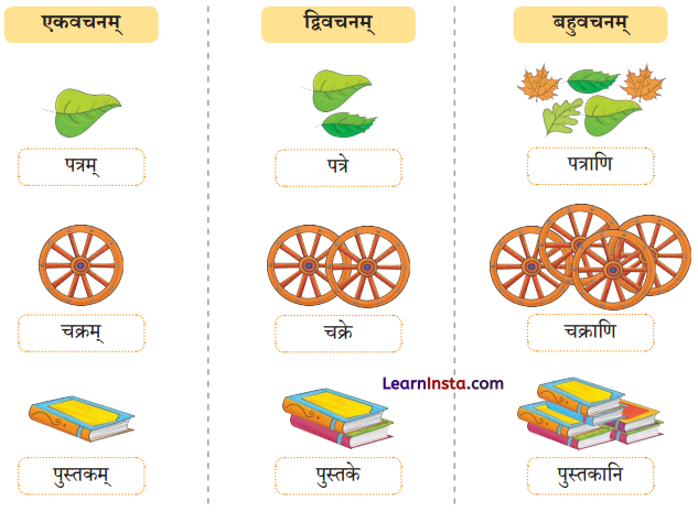 एषः कः एषा का एतत् किम् Class 6 Summary Notes Sanskrit Chapter 2 5