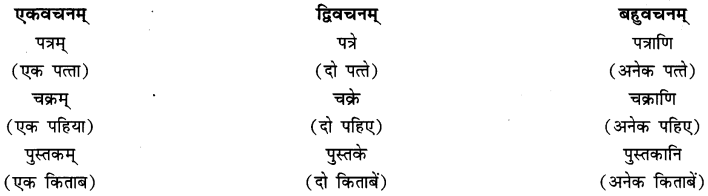 एषः कः एषा का एतत् किम् Class 6 Summary Notes Sanskrit Chapter 2 6