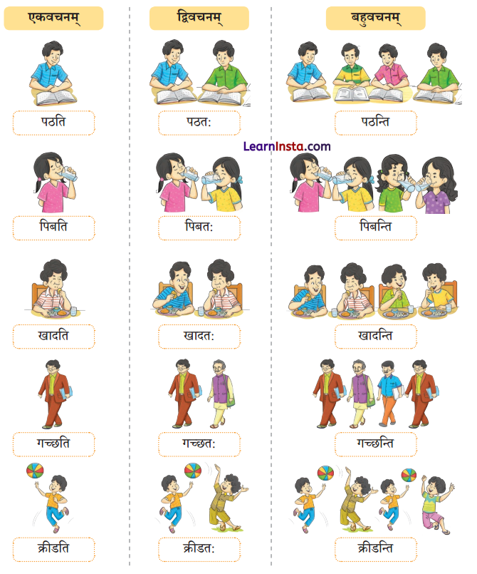 एषः कः एषा का एतत् किम् Class 6 Summary Notes Sanskrit Chapter 2 7