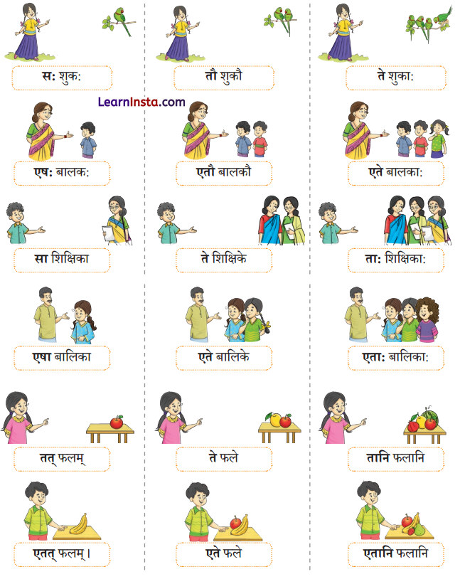 एषः कः एषा का एतत् किम् Class 6 Summary Notes Sanskrit Chapter 2 9