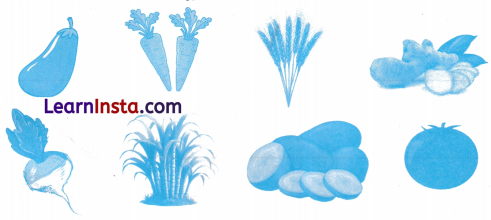 किसान की होशियारी Class 3 Worksheet Hindi Chapter 14 5