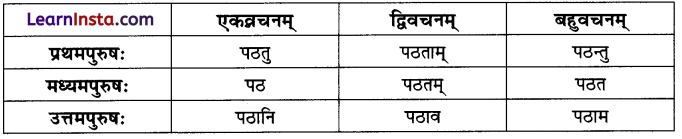 त्वम् आपणं गच्छ Class 6 Summary Notes Sanskrit Chapter 10 2