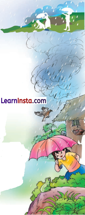 पहली बूँद Class 6 Summary in Hindi 2