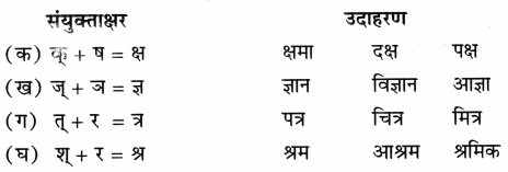 पेड़ों की अम्मा ‘थिमक्का’ Class 3 Worksheet Hindi Chapter 13 1