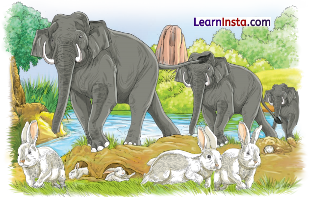 बुद्धिः सर्वार्थसाधिका Class 6 Summary Notes Sanskrit Chapter 8 1
