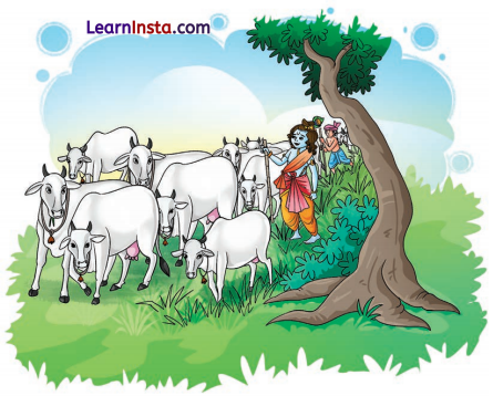 मैया मैं नहिं माखन खायो Class 6 Summary in Hindi 2