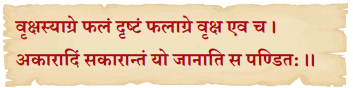 यो जानाति सः पण्डितः Class 6 Summary Notes Sanskrit Chapter 9 4