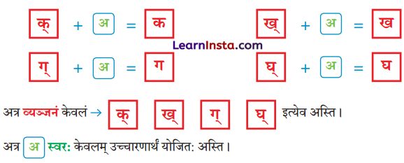 वयं वर्णमालां पठामः Class 6 Summary Notes Sanskrit Chapter 1 12