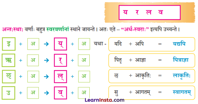 वयं वर्णमालां पठामः Class 6 Summary Notes Sanskrit Chapter 1 14