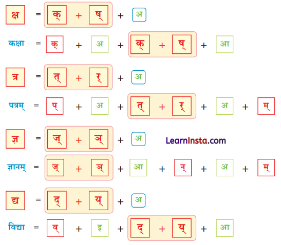 वयं वर्णमालां पठामः Class 6 Summary Notes Sanskrit Chapter 1 24