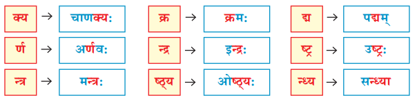 वयं वर्णमालां पठामः Class 6 Summary Notes Sanskrit Chapter 1 25