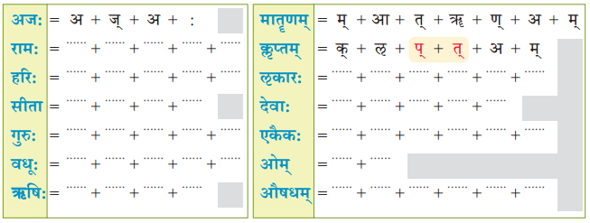 वयं वर्णमालां पठामः Class 6 Summary Notes Sanskrit Chapter 1 26