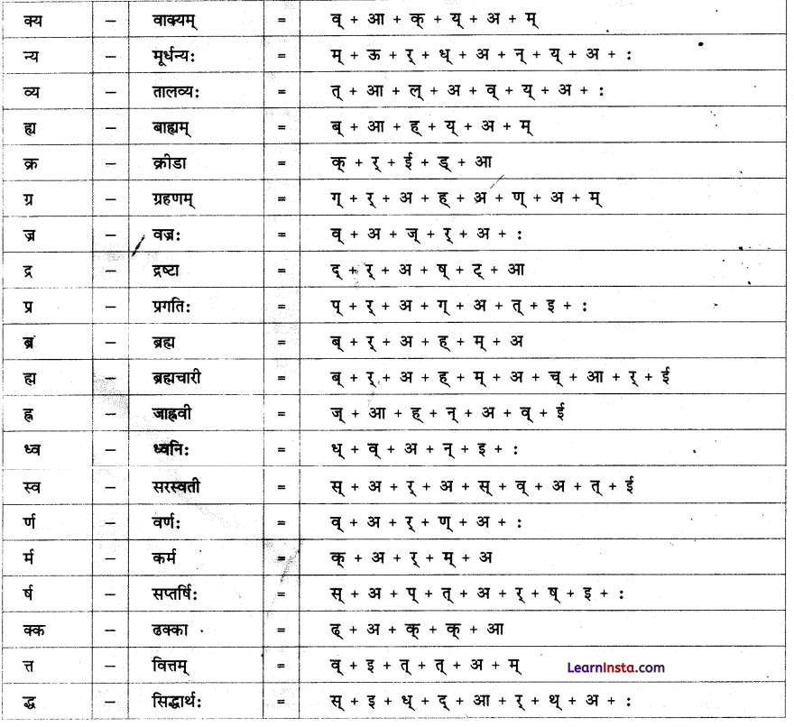 वयं वर्णमालां पठामः Class 6 Summary Notes Sanskrit Chapter 1 5
