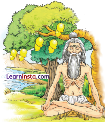 वृक्षाः सत्पुरुषाः इव Class 6 Summary Notes Sanskrit Chapter 15 5