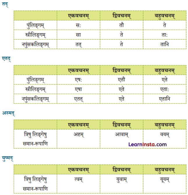 शूराः वयं धीराः वयम् Class 6 Summary Notes Sanskrit Chapter 5 2