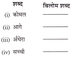 सीखो Class 3 Worksheet Hindi Chapter 1 3