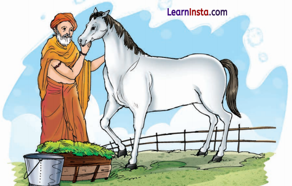 हार की जीत Class 6 Summary in Hindi 1