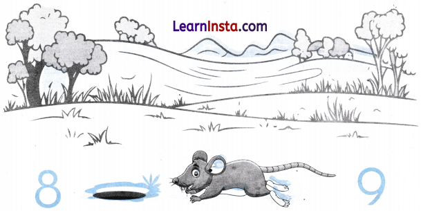 A Day at the Beach Class 2 Worksheet with Answers Maths Chapter 1 23