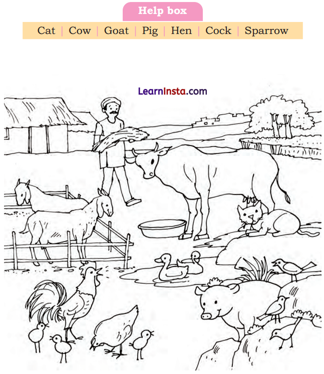 A Farm Class 1 Question Answer English Chapter 5 2