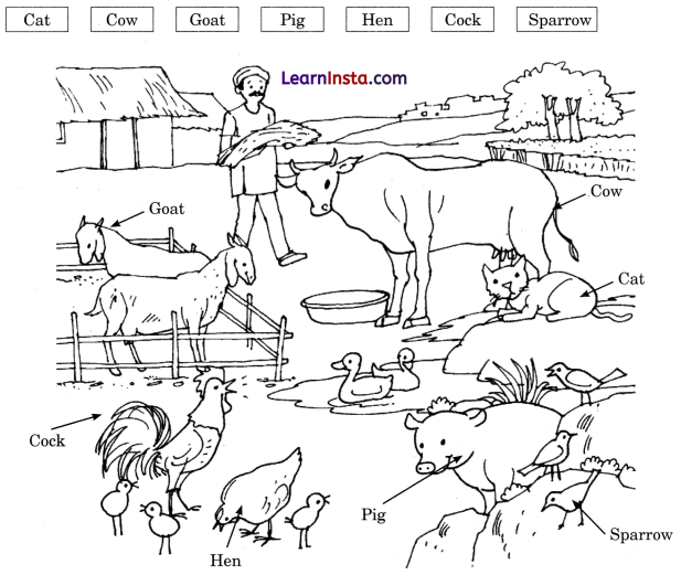 A Farm Class 1 Question Answer English Chapter 5 3