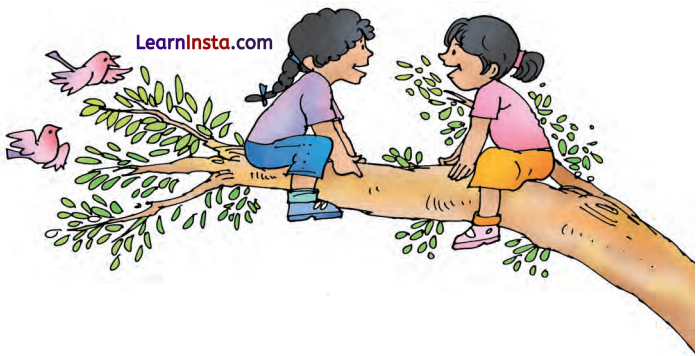 A Farm Class 1 Question Answer English Chapter 5 6