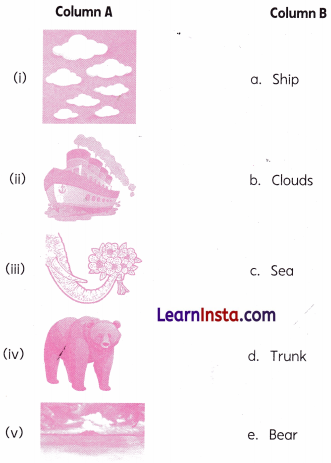 A Show of Clouds Class 2 Worksheet with Answers English Chapter 8 1