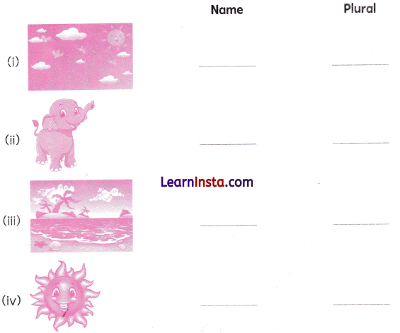 A Show of Clouds Class 2 Worksheet with Answers English Chapter 8 3