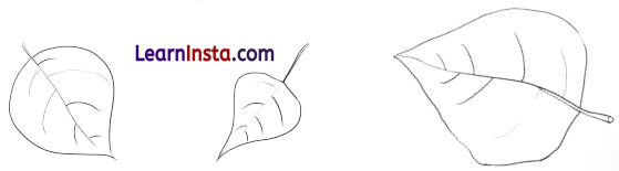 Aalu Ki Sadak Class 1 Question Answer Hindi Chapter 9 13
