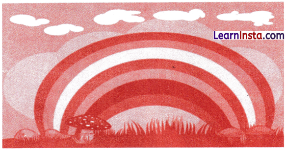 Anandi’s Rainbow Class 1 Worksheet with Answers English Chapter 9 2