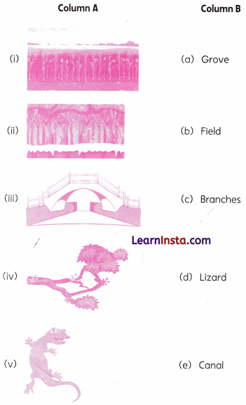 Between Home and School Class 2 Worksheet with Answers English Chapter 6 1