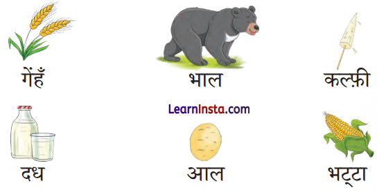 Bhutte Class 1 Question Answer Hindi Chapter 11 5