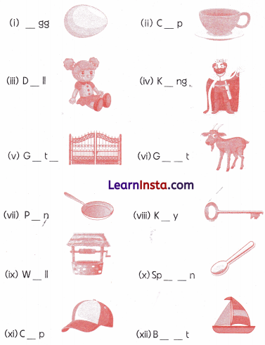 Class 1 English Grammar Worksheet with Answers 2