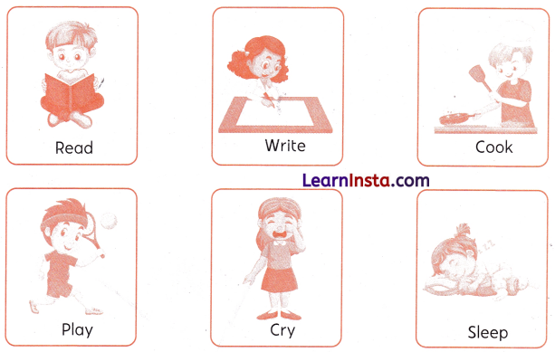 Class 1 English Grammar Worksheet with Answers 24