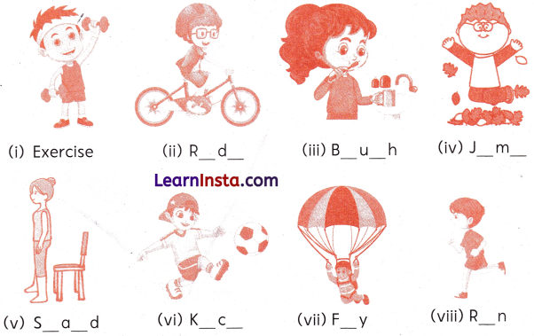 Class 1 English Grammar Worksheet with Answers 26
