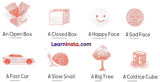Class 1 English Grammar Worksheet with Answers 27