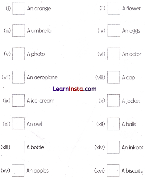 Class 1 English Grammar Worksheet with Answers 7