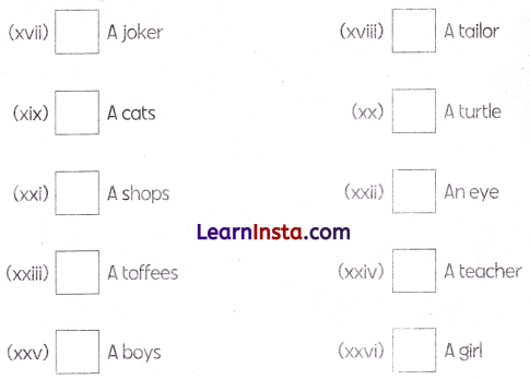 Class 1 English Grammar Worksheet with Answers 8