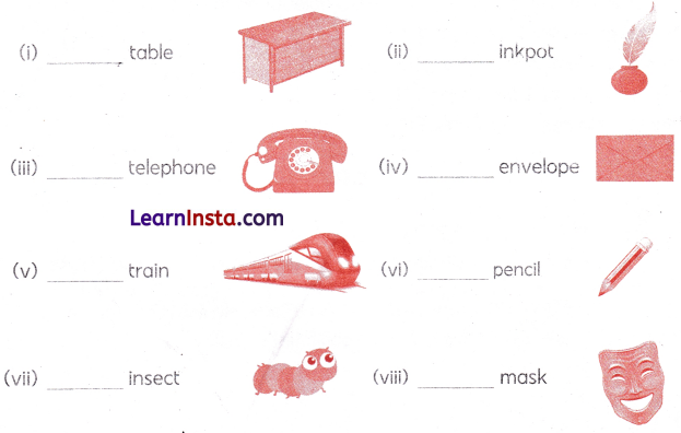 Class 1 English Grammar Worksheet with Answers 9